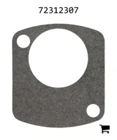 AGCO 72312307 Уплотнение насоса