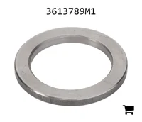 AGCO 3613789M1 Шайба
