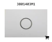 AGCO 3801403M1 Шайба