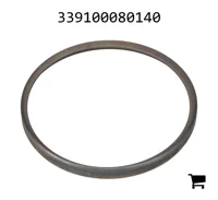 AGCO 339100080140 Маслосборная пластина