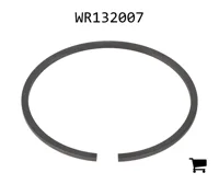 AGCO WR132007 Уплотнительное кольцо