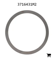 AGCO 3716431M2 Шайба