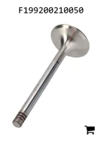 AGCO F199200210050 Конус выпускного клапана