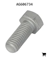 AGCO AG606734 Болт с шестигранной головкой