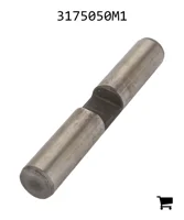 AGCO 3175050M1 Ось