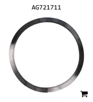 AGCO AG721711 Пружина насоса TerraGator