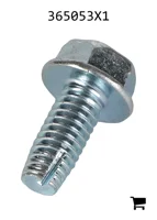 AGCO 365053X1 Саморез