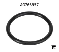 AGCO AG703957 Опорное кольцо