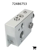 AGCO 72486753 Торцевая пластина