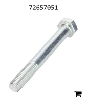 AGCO 72657051 Специальный винт