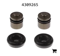 AGCO 4309265 Ремонтный комплект