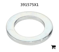 AGCO 391575X1 Плоская шайба