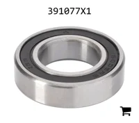 AGCO 391077X1 Подшипник 6005 2RS