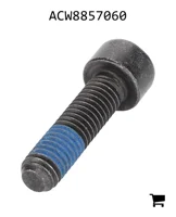 AGCO ACW8857060 Болт
