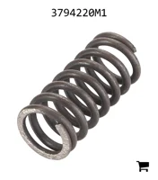 AGCO 3794220M1 Пружина