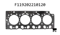 AGCO F119202210120 Прокладка головки блока цилиндров