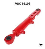 AGCO 700750193 Цилиндр наклона