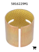 AGCO 5016229M1 Подшипниковый узел