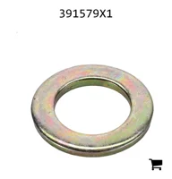 AGCO 391579X1 Плоская шайба