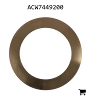AGCO ACW7449200 Упорная шайба