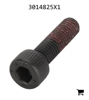 AGCO 3014825X1 Винт с цилиндрической головкой и шестигранным углублением