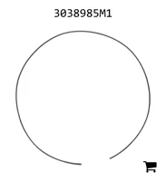 AGCO 3038985M1 Кольцо