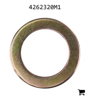 AGCO 4262320M1 Плоская шайба