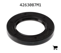 AGCO 4263087M1 Масляный сальник
