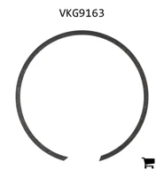 AGCO VKG9163 Стопорное кольцо