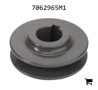 AGCO 7062965M1 Шкив