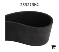 AGCO 233213M2 Ремень