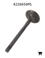 AGCO 4226656M1 Выпускной клапан