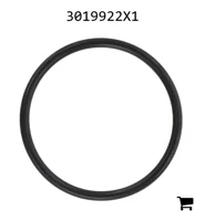 AGCO 3019922X1 Уплотнительное кольцо