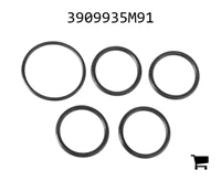AGCO 3909935M91 Комплект уплотнений
