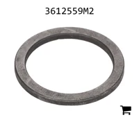 AGCO 3612559M2 Шайба