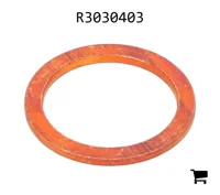 AGCO R3030403 Шайба