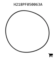 AGCO H218PF050063A Уплотнительное кольцо