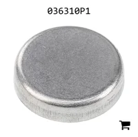 AGCO 036310P1 Заглушка