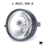 AGCO 2.8029.300.0 Фара рабочего освещения в сборе