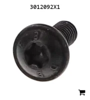 AGCO 3012092X1 Винт с полукруглой головкой