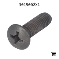 AGCO 3015002X1 Винт