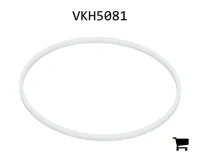 AGCO VKH5081 Опорное кольцо