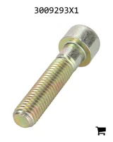 AGCO 3009293X1 Винт с цилиндрической головкой и шестигранным углублением