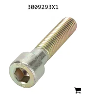 AGCO 3009293X1 Винт с цилиндрической головкой и шестигранным углублением