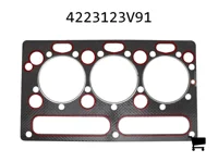 AGCO 4223123V91 Комплект соединений и прокладок