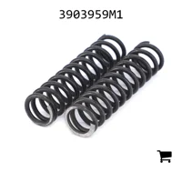 AGCO 3903959M1 Пружина