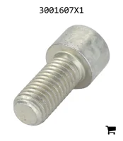 AGCO 3001607X1 Винт с цилиндрической головкой и шестигранным углублением