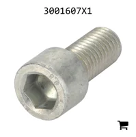 AGCO 3001607X1 Винт с цилиндрической головкой и шестигранным углублением