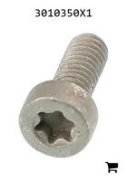 AGCO 3010350X1 Винт с потайной головкой