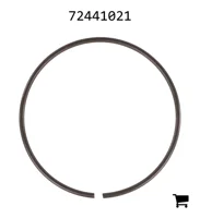 AGCO 72441021 Стопорная шайба